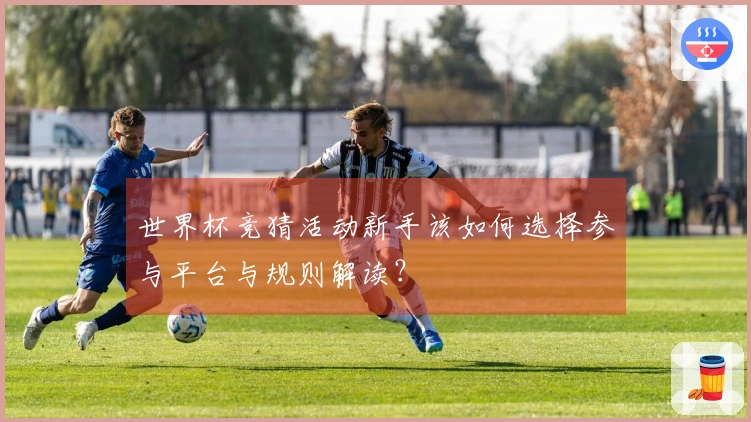 世界杯竞猜活动新手该如何选择参与平台与规则解读？