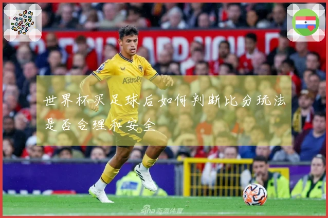 世界杯买足球后如何判断比分玩法是否合理和安全