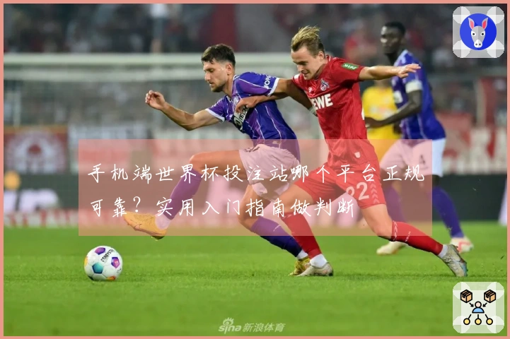 手机端世界杯投注站哪个平台正规可靠？实用入门指南做判断