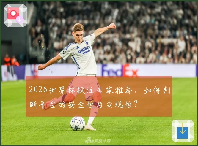 2026世界杯投注专家推荐，如何判断平台的安全性与合规性？
