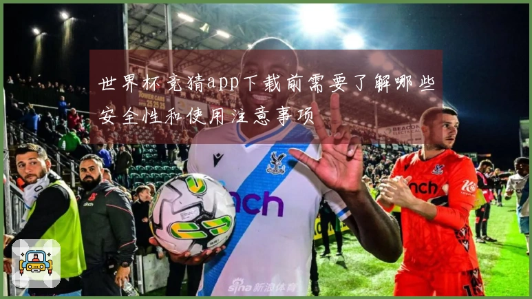 世界杯竞猜app下载前需要了解哪些安全性和使用注意事项